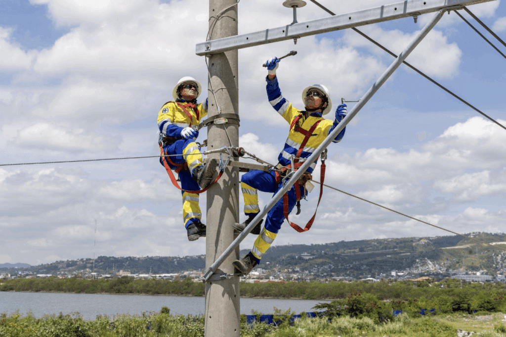 Visayan Electric